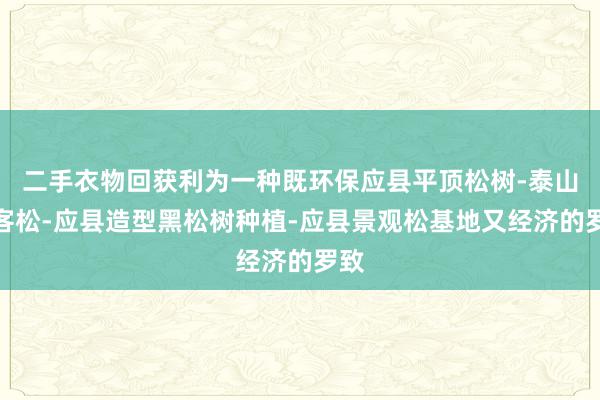 二手衣物回获利为一种既环保应县平顶松树-泰山迎客松-应县造型黑松树种植-应县景观松基地又经济的罗致