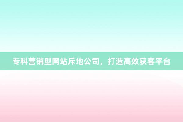 专科营销型网站斥地公司，打造高效获客平台